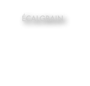 
éCALGRAIN

l’Arbre à paroles, 
2018

