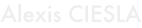 shapeimage_8_link_0