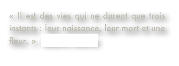 « Il est des vies qui ne durent que trois instants : leur naissance, leur mort et une fleur. »  Roberto Juarroz 